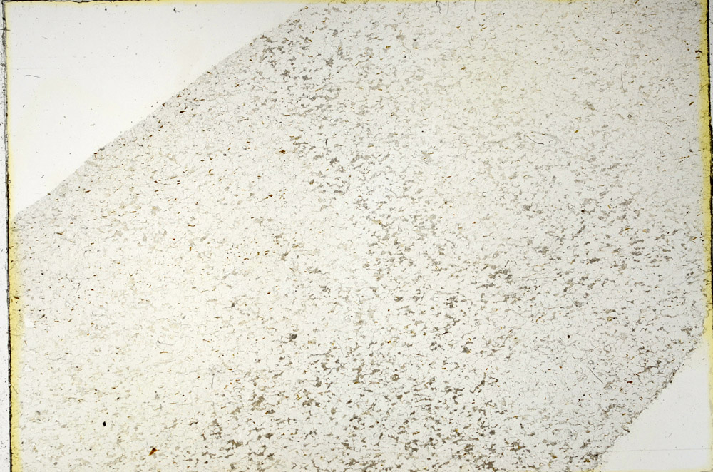 Plane Polarized, N3412