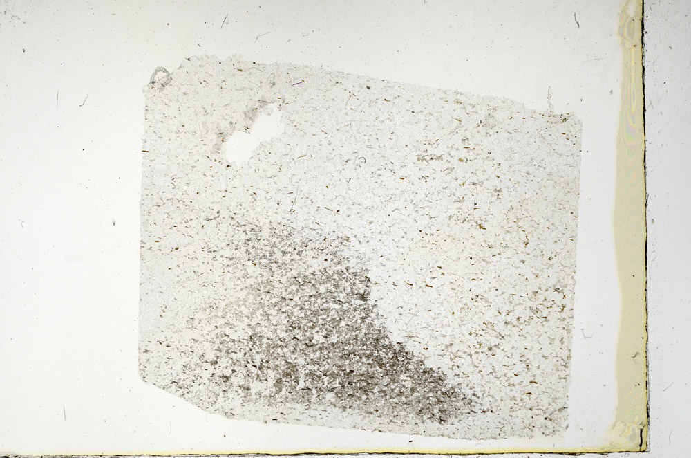 Plane Polarized, N3413