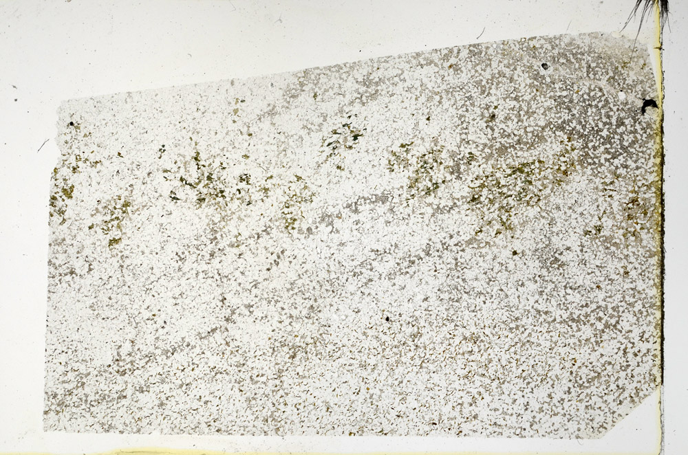 Plane Polarized, N3417