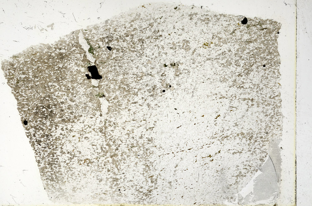 Plane Polarized, N3419