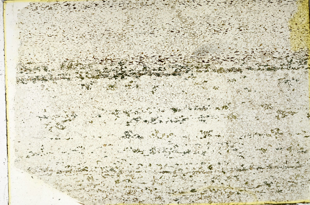 Plane Polarized, N3426
