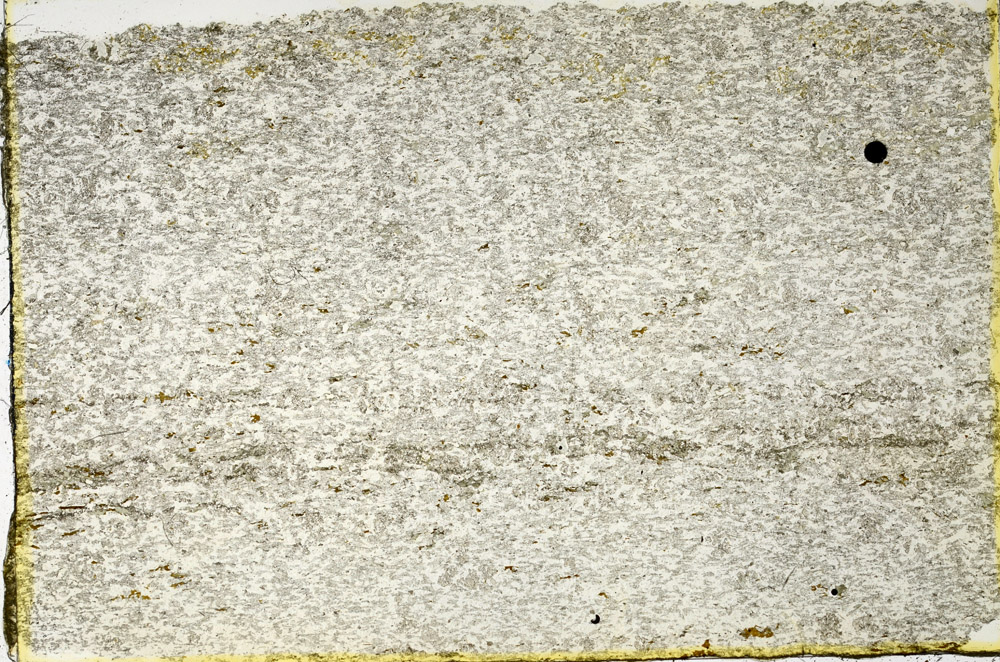 Plane Polarized, N3438