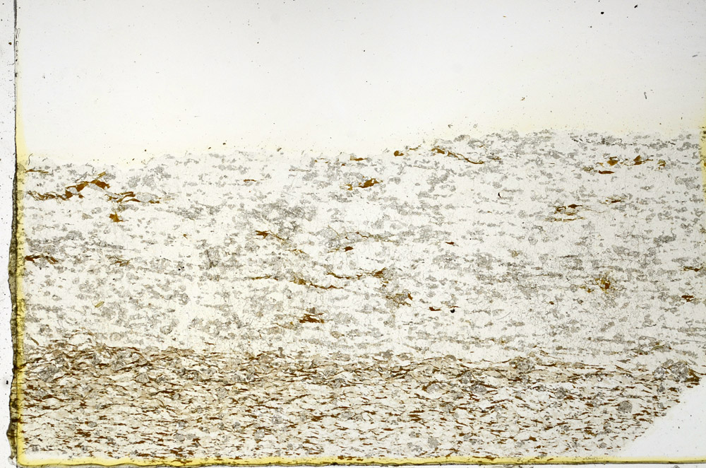 Plane Polarized, N3442