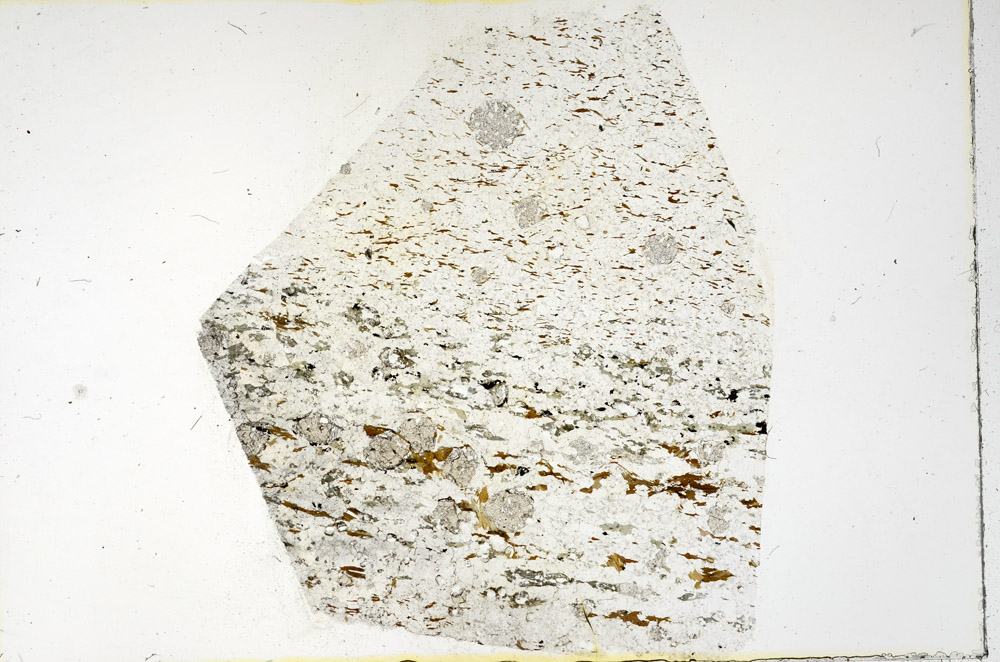 Plane Polarized, N3445