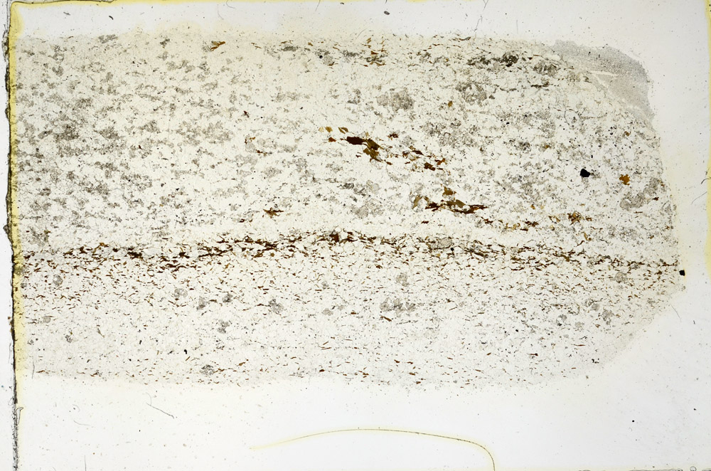 Plane Polarized, N3446