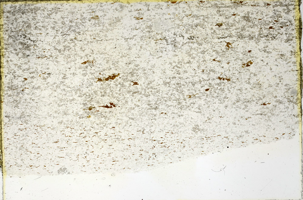 Plane Polarized, N3448