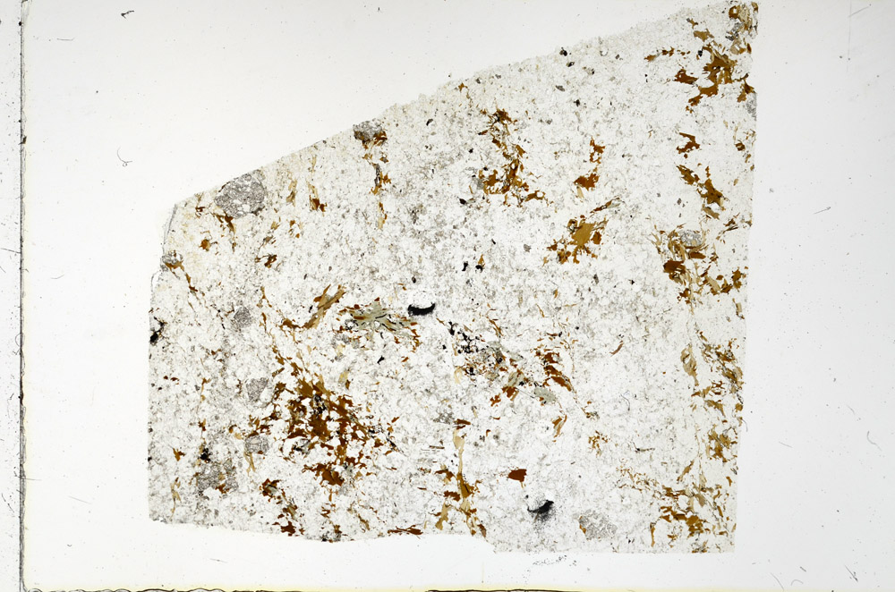 Plane Polarized, N3450