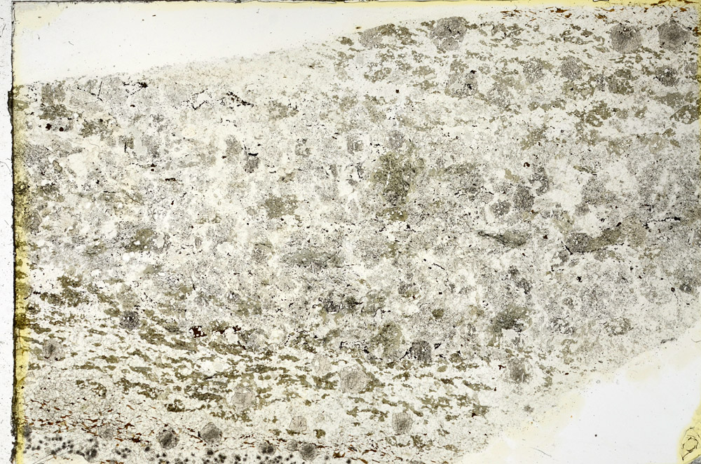 Plane Polarized, N3453