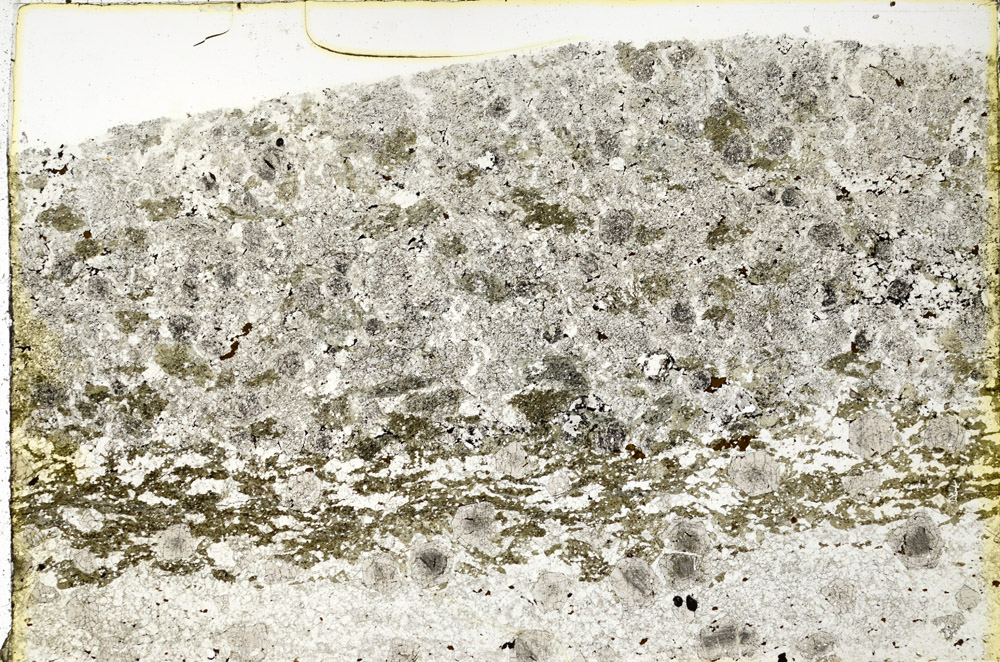 Plane Polarized, N3454