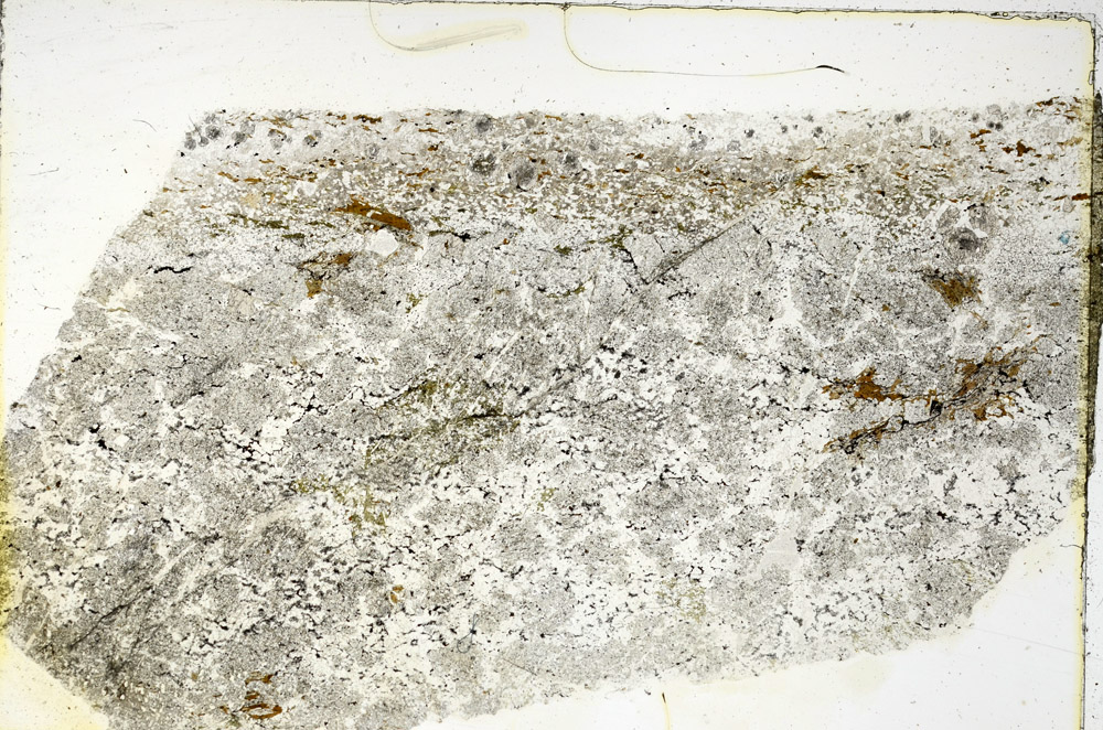 Plane Polarized, N3455