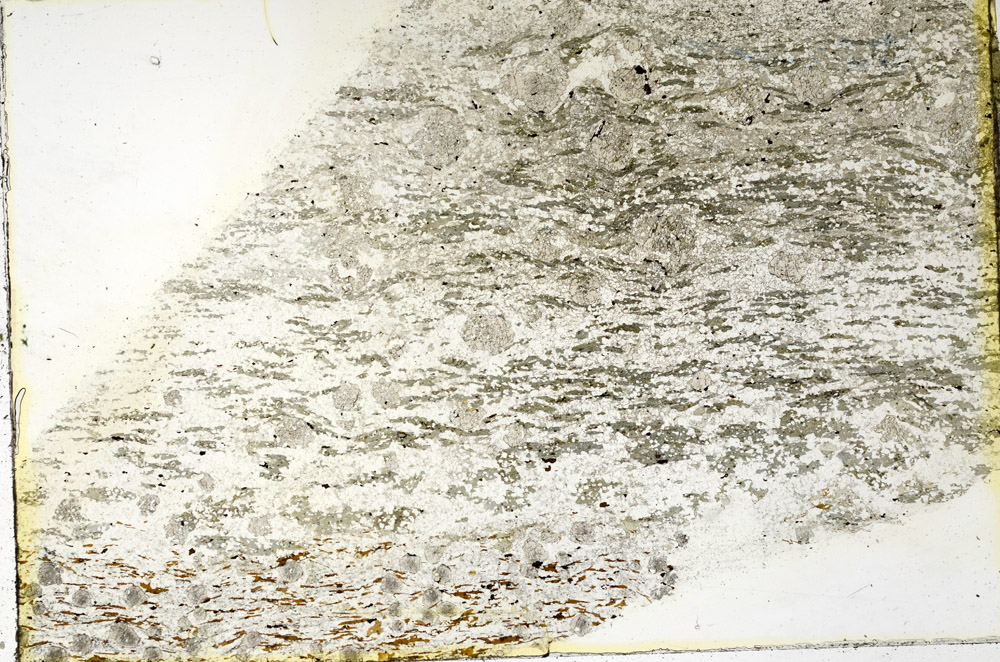 Plane Polarized, N3458