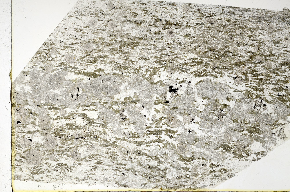 Plane Polarized, N3459