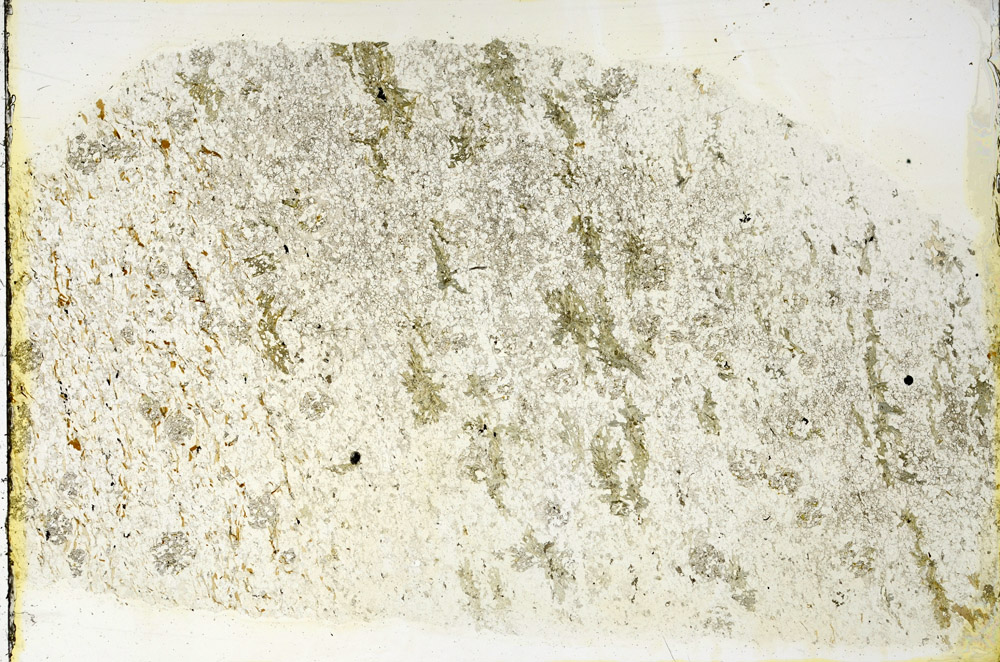 Plane Polarized, N3465