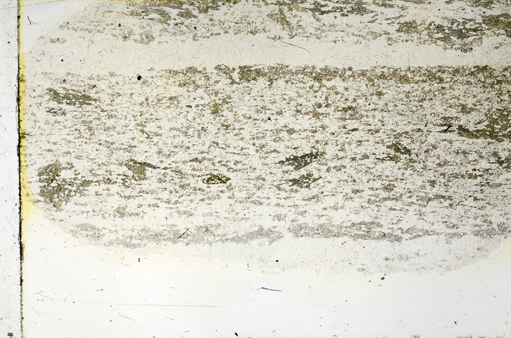 Plane Polarized, N3475