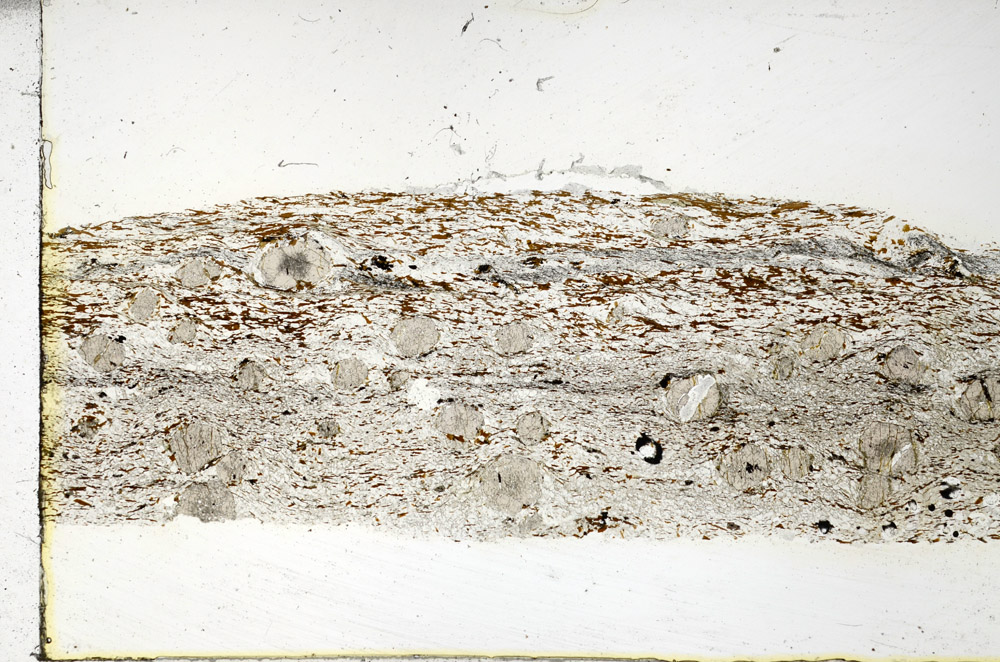 Plane Polarized, N3479