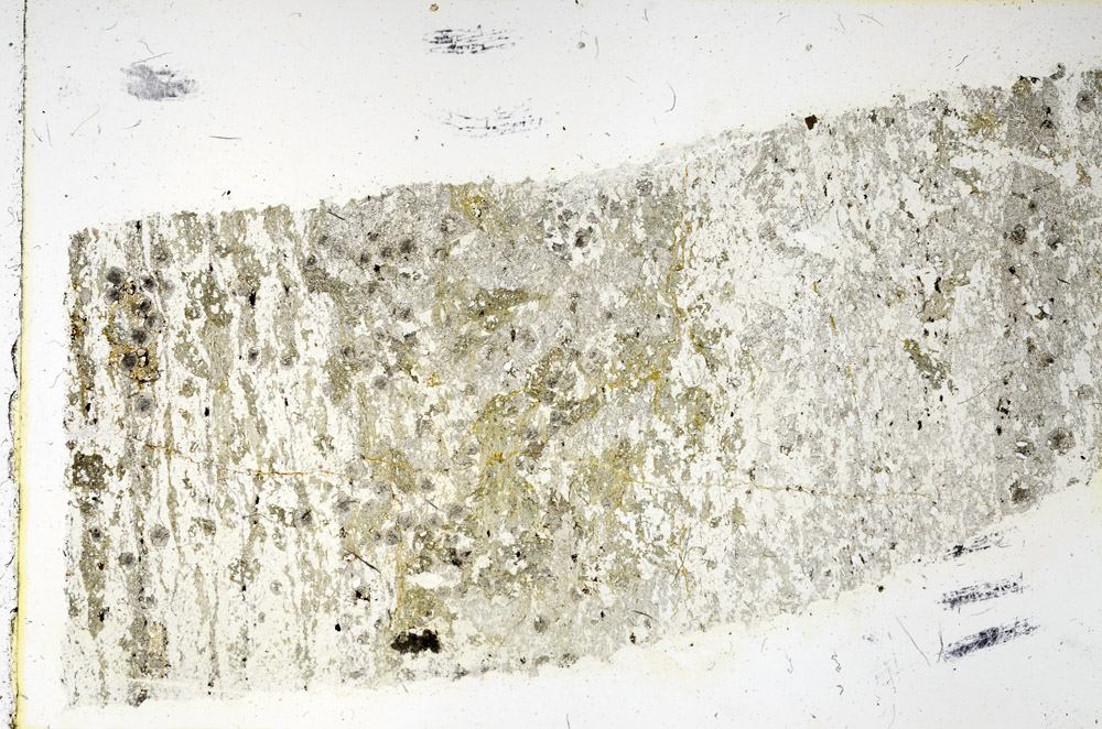 Plane Polarized, N3487