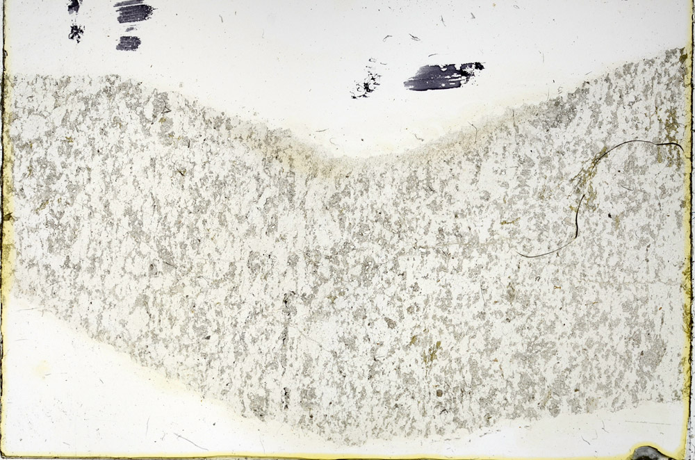 Plane Polarized, N3488