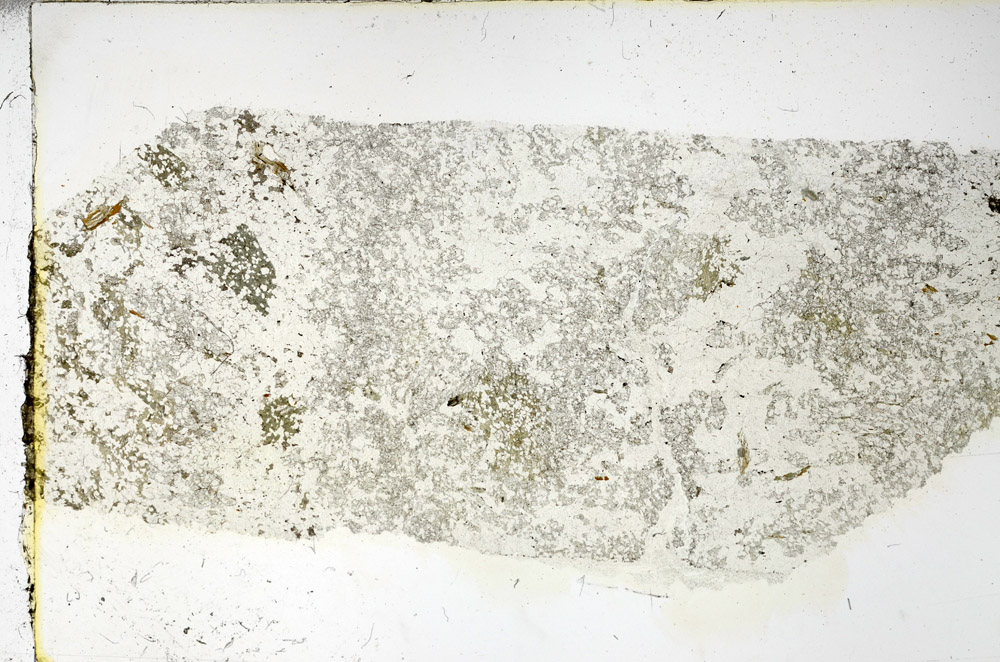 Plane Polarized, N3489
