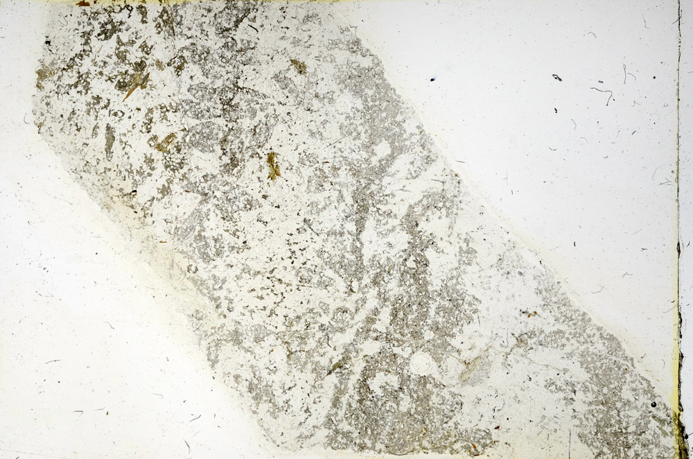 Plane Polarized, N3490