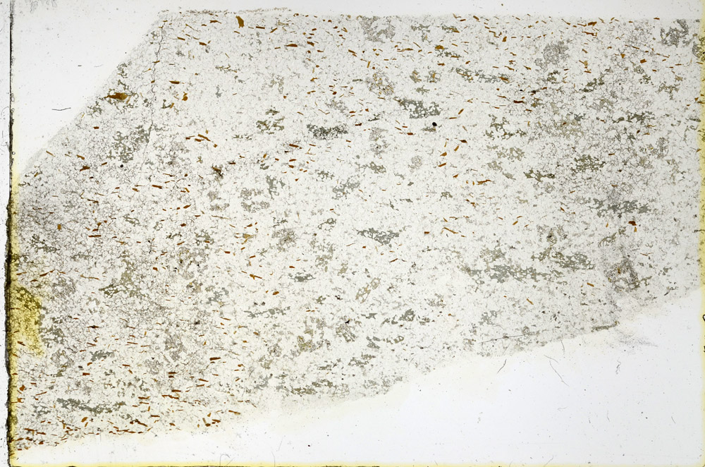 Plane Polarized, N3490/c