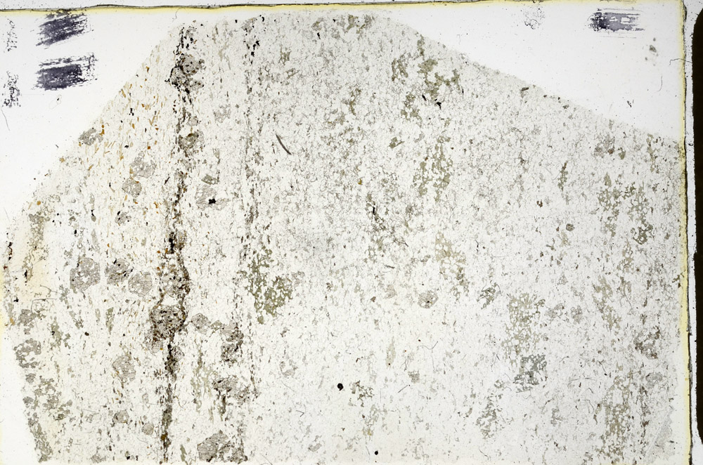 Plane Polarized, N3491
