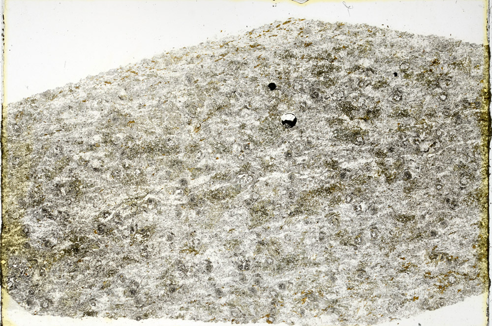 Plane Polarized, N3520