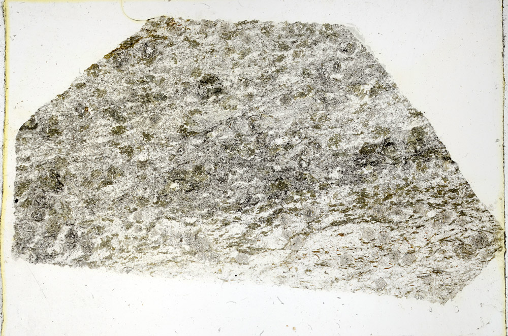 Plane Polarized, N3521