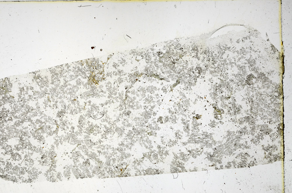 Plane Polarized, N3523