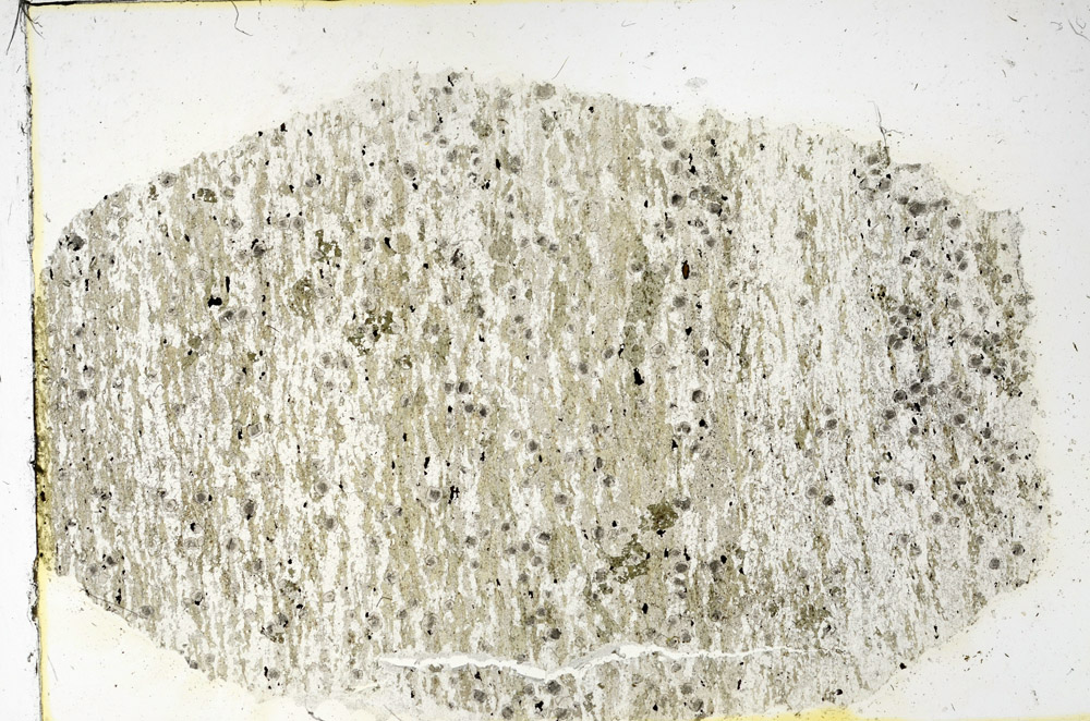 Plane Polarized, N3527/b