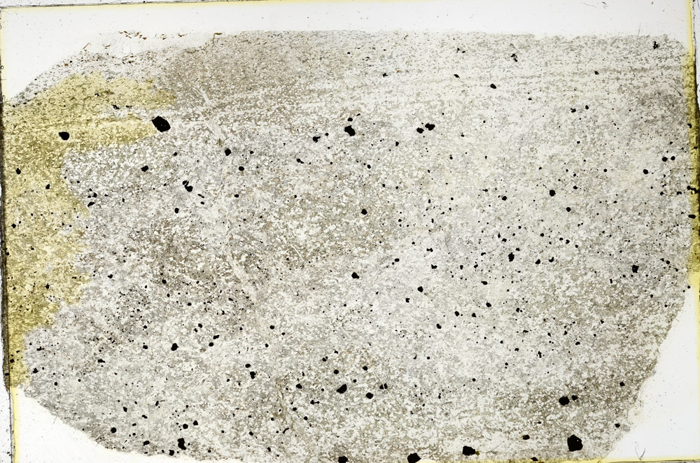 Plane Polarized, N3539