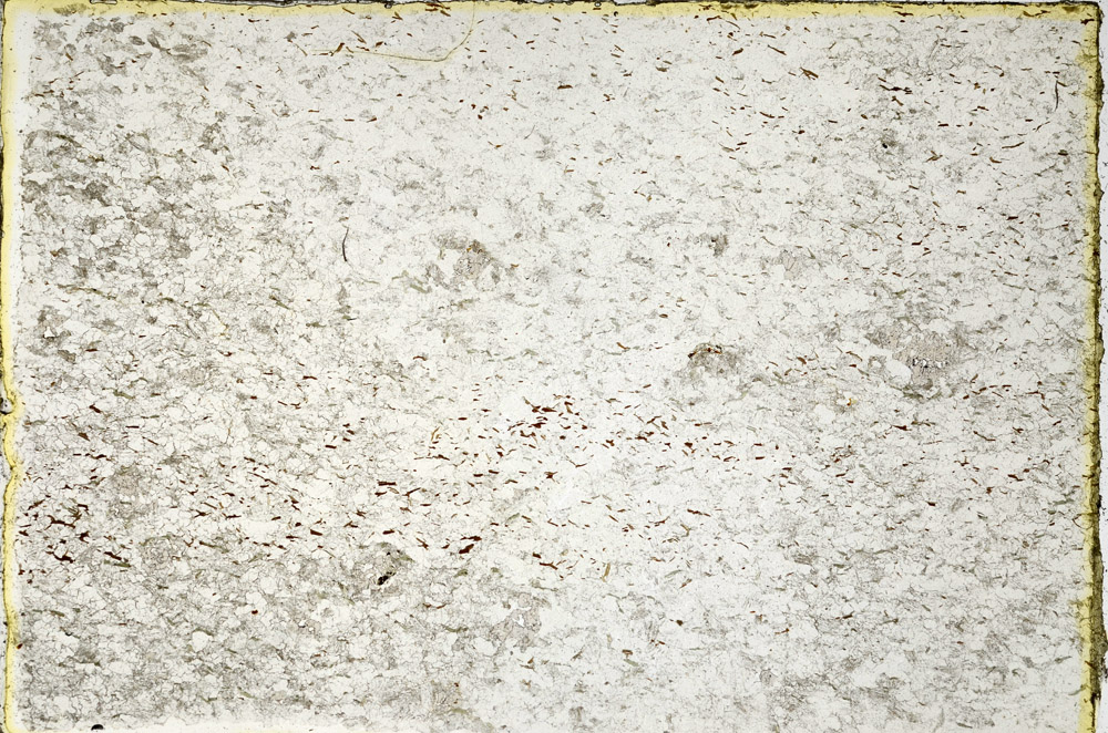 Plane Polarized, N3543