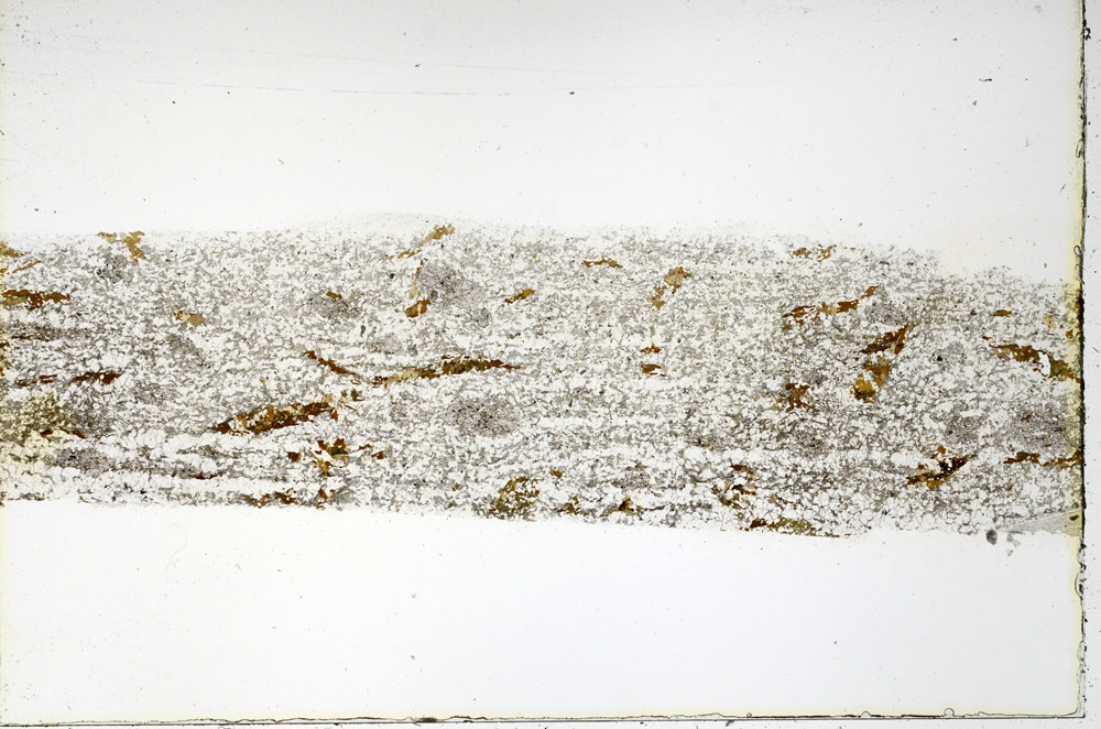 Plane Polarized, N3549