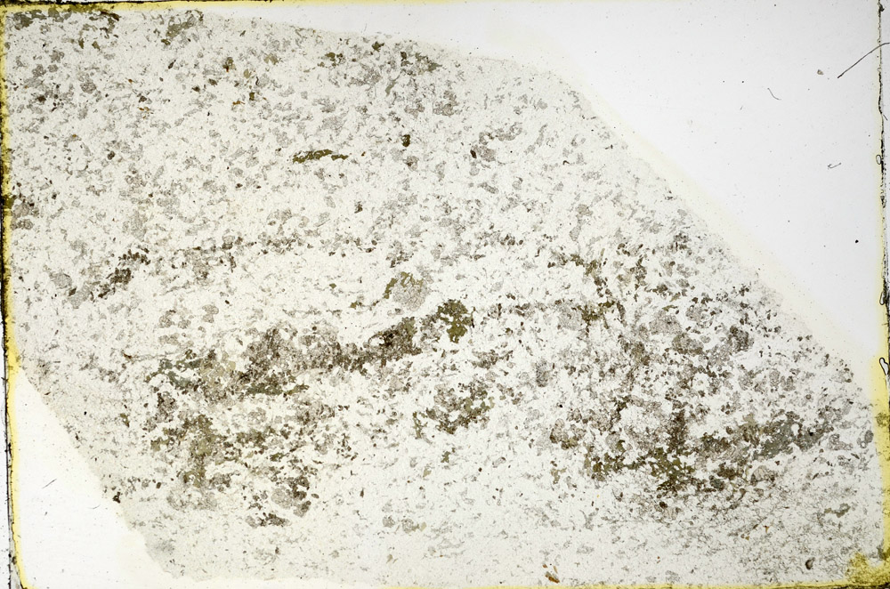 Plane Polarized, N3555