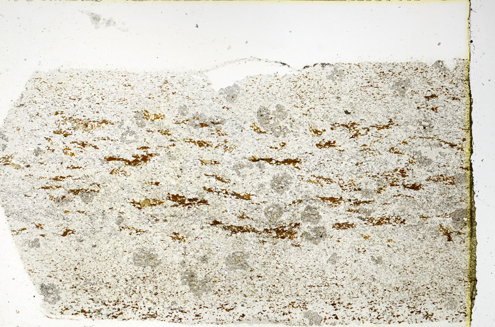 Plane Polarized, N3558