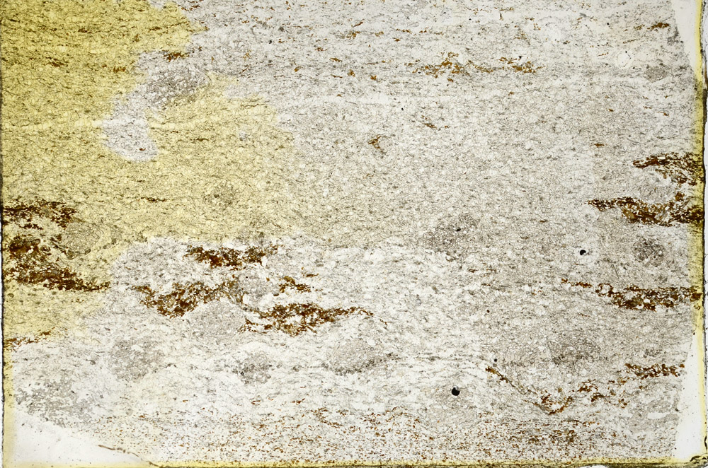 Plane Polarized, N3565