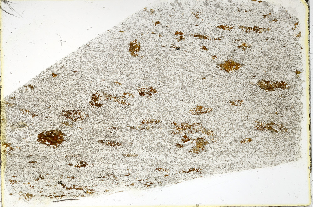 Plane Polarized, N3566