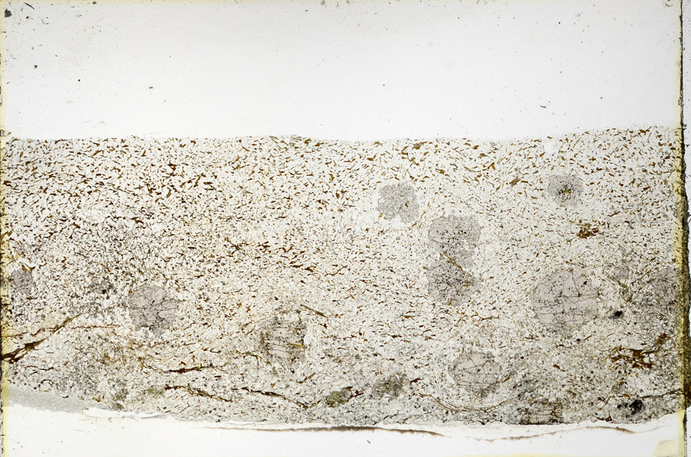 Plane Polarized, N3568