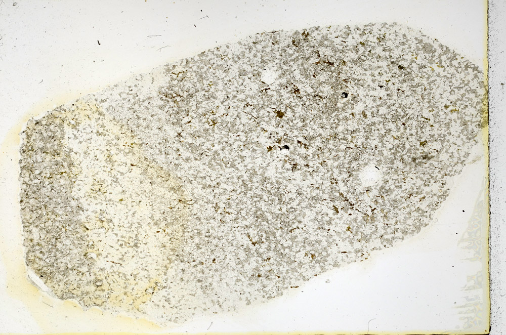 Plane Polarized, N3572