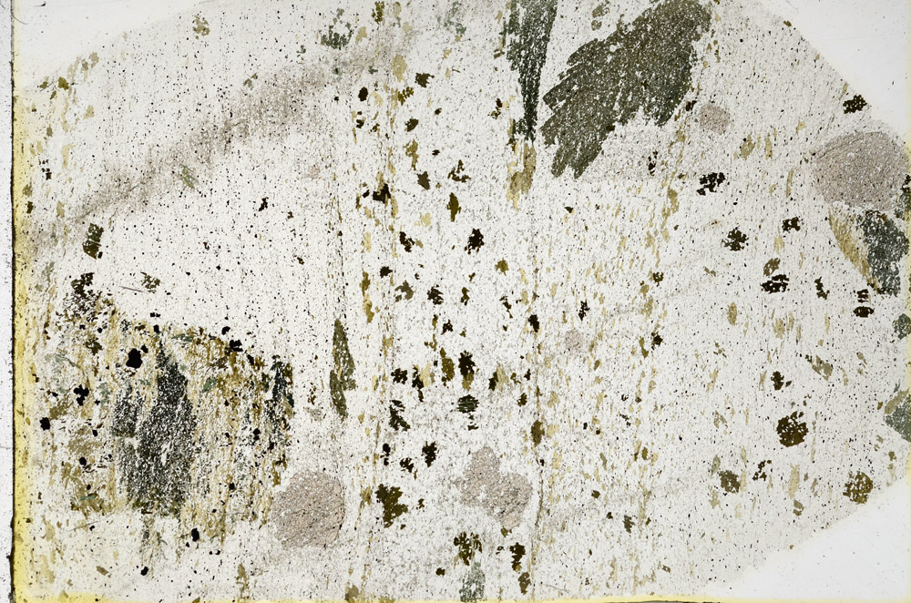 Plane Polarized, N3598