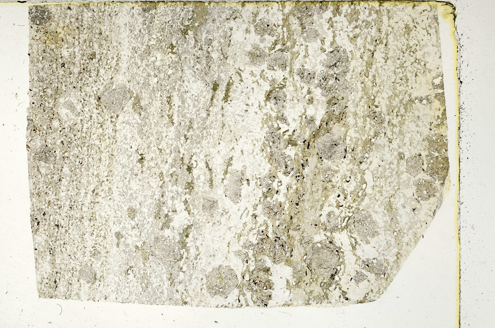 Plane Polarized, N3613