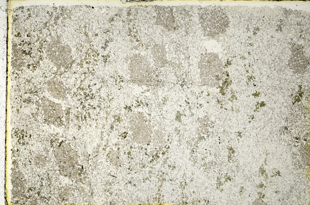 Plane Polarized, N3616