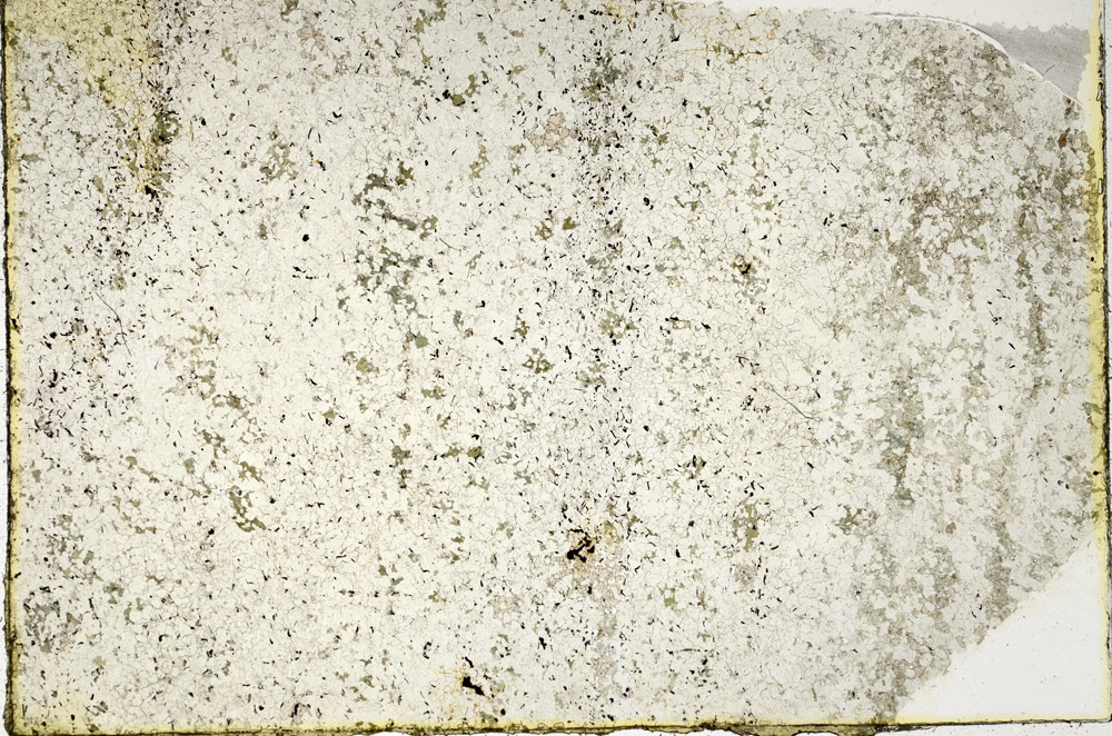 Plane Polarized, N3622