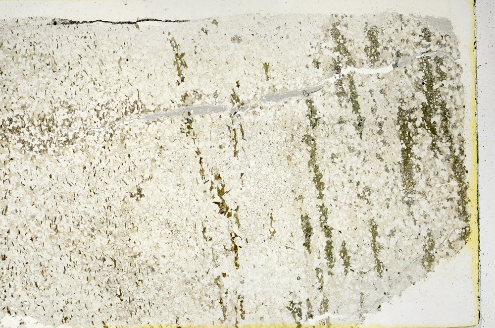Plane Polarized, N3630