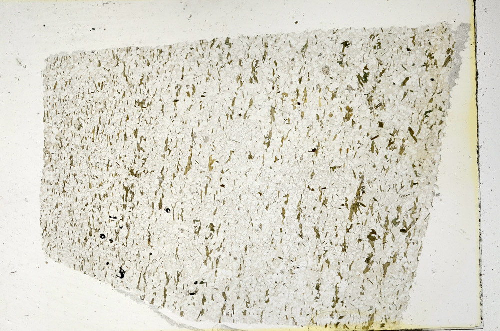 Plane Polarized, N3631