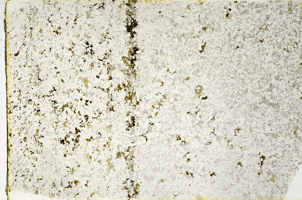 Plane Polarized, N3654