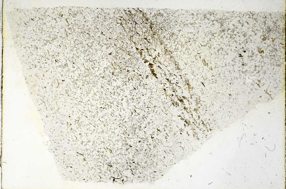 Plane Polarized, N3658