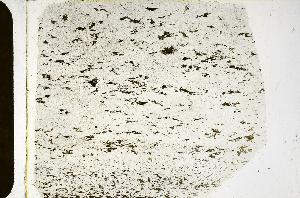 Plane Polarized, N3659