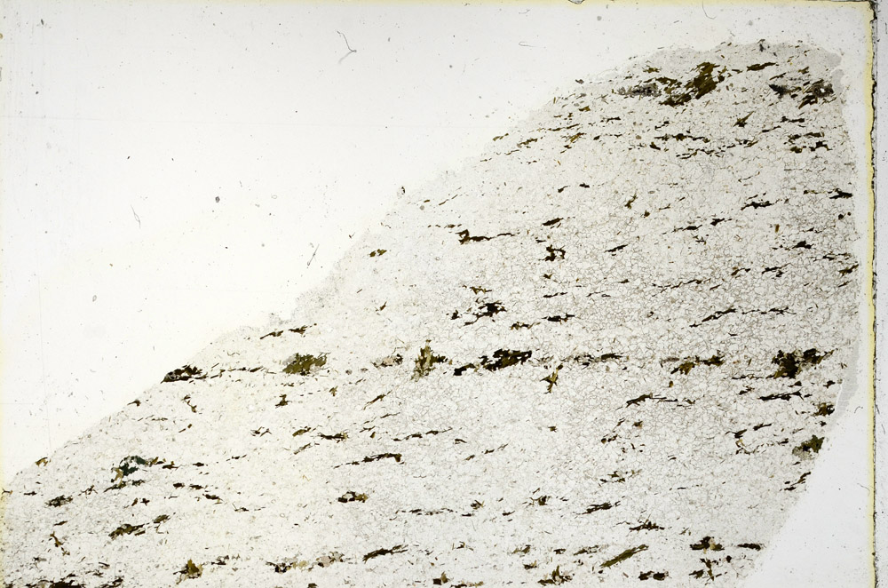 Plane Polarized, N3660