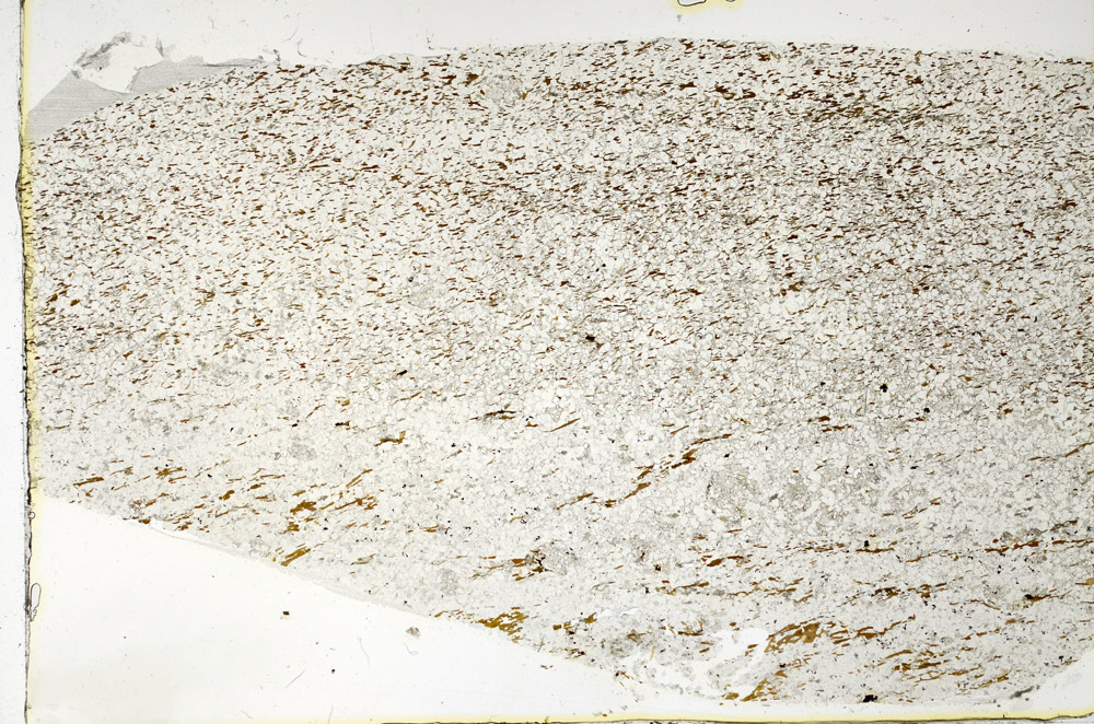 Plane Polarized, N3661