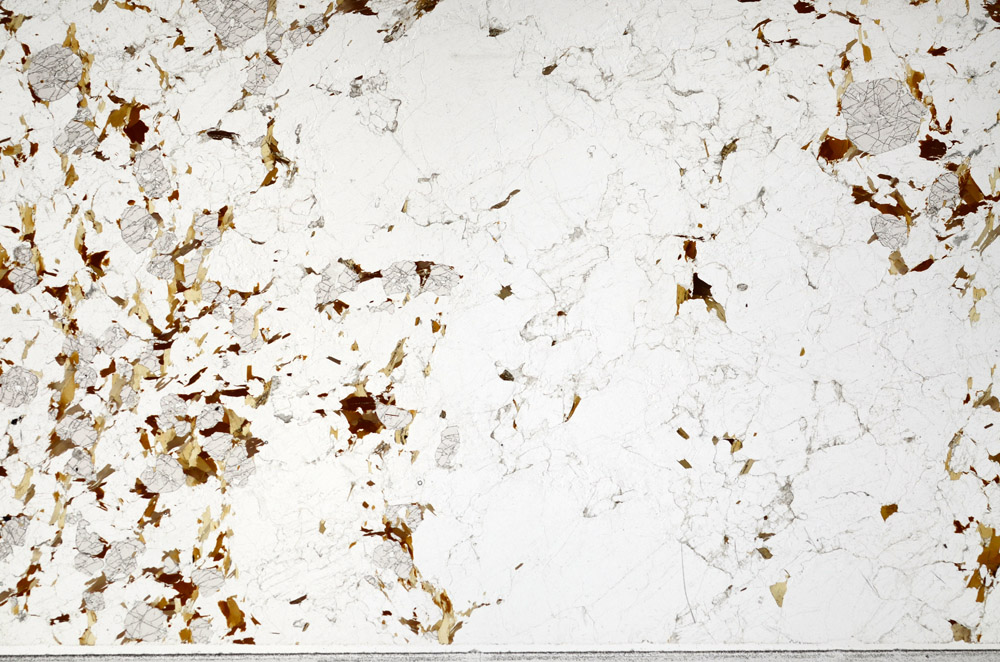 Plane Polarized, N3811